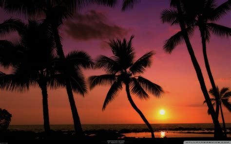 Tropical Sunset Wallpapers - Top Free Tropical Sunset Backgrounds - WallpaperAccess