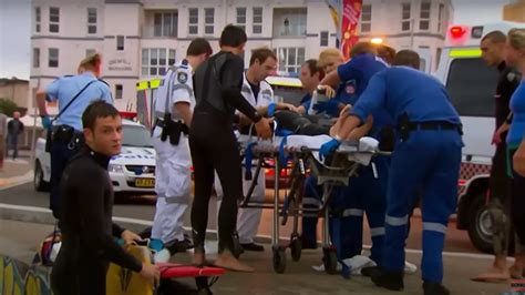 WATCH Shark Attack On Bondi Beach Leaves Man With No Arm - Animals Around The Globe