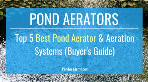 Choosing the Best Aerator for Your Pond - My Top 5 Picks