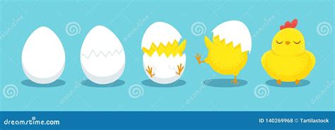 Chicken Hatching. Cracked Chick Egg, Hatch Eggs and Hatched Easter Chicks Cartoon Vector ...