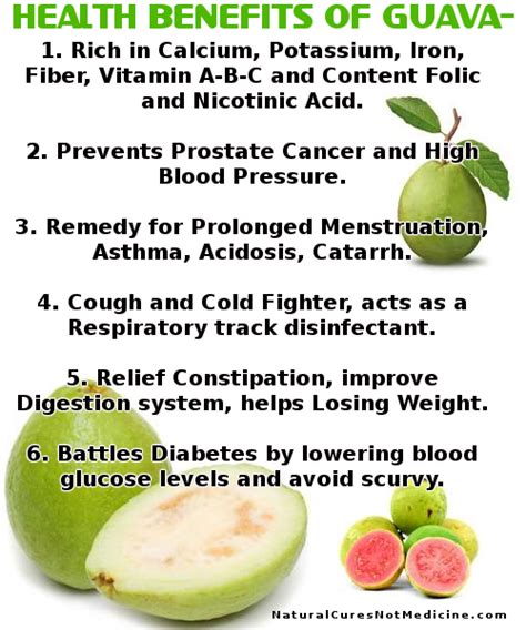 Guava Juice Benefits During Pregnancy - health benefits