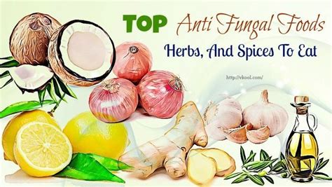 Anti-fungal foods, herbs and spices cover the best items that contain ...