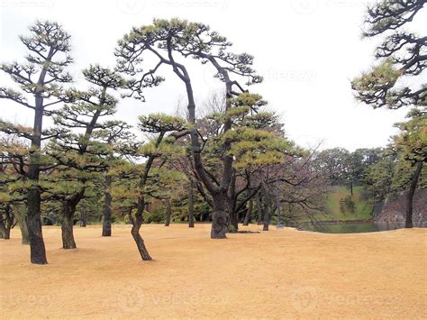 View of Tokyo skyline from the outer imperial palace gardens 8756495 ...