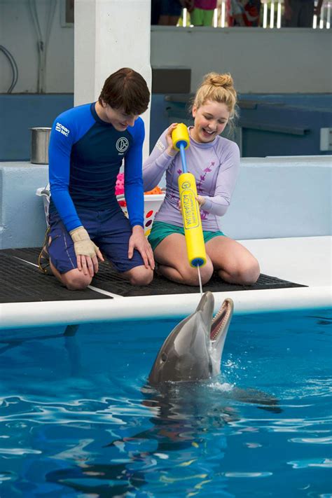 Foto de Nathan Gamble - La gran aventura de Winter el delfín 2 : Foto Cozi Zuehlsdorff, Nathan ...