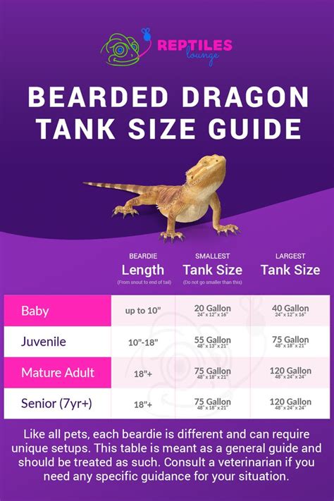 Bearded Dragon Tank Size Guide | Bearded dragon, Bearded dragon tank, Bearded dragon terrarium