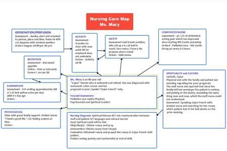 Nursing Concept Map Template | EdrawMind