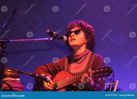 Playing Guitar And Singing Stock Images - Image: 2227254