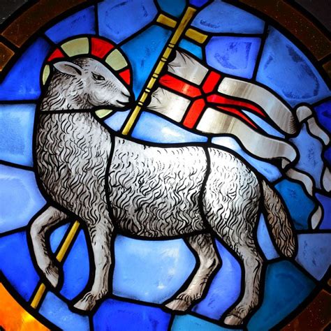 Why Do We Call Jesus "Lamb of God?" | Catholic Answers Q&A