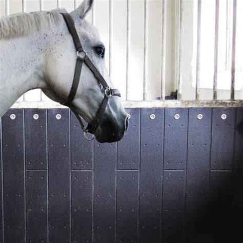 Horse Stall Wall Mats | Belmondo Rodeo Rubber Wall Coverings