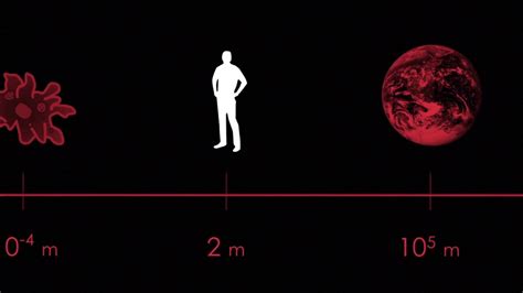 The Scale Of The Universe - vrogue.co