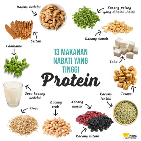 protein hewani rendah lemak