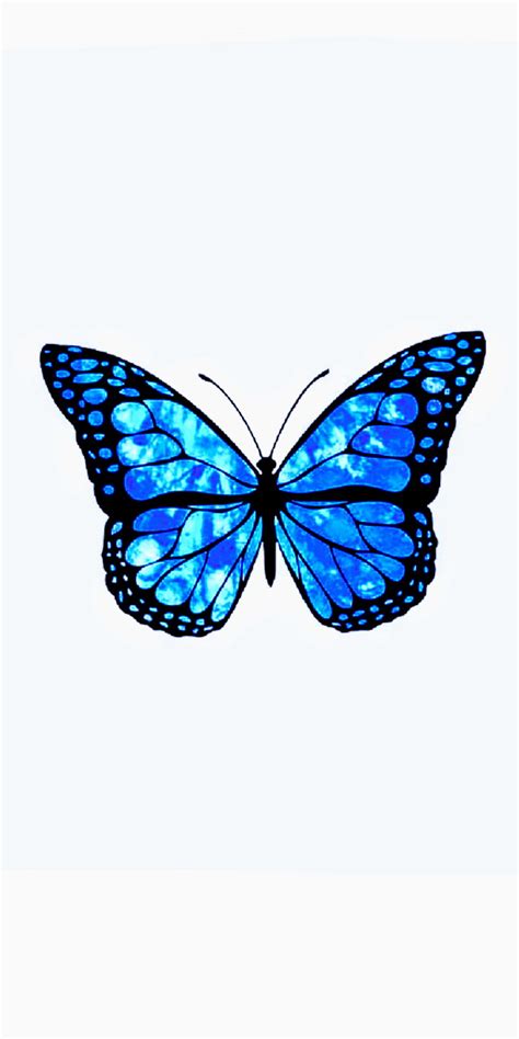 Top 100+ imagen fondos de pantalla de mariposas azules - Thptnganamst ...