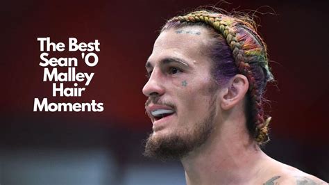 The Best Sean O' Malley Hair Moments Ranked! | Heartafact