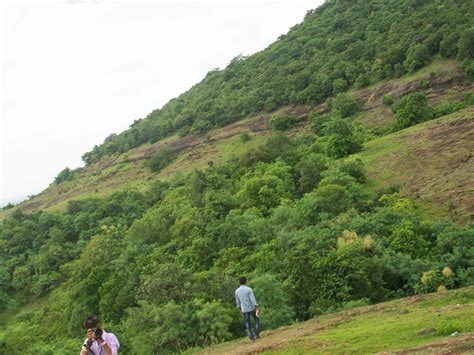 two people standing on top of a lush green hillside next to a hill covered in trees