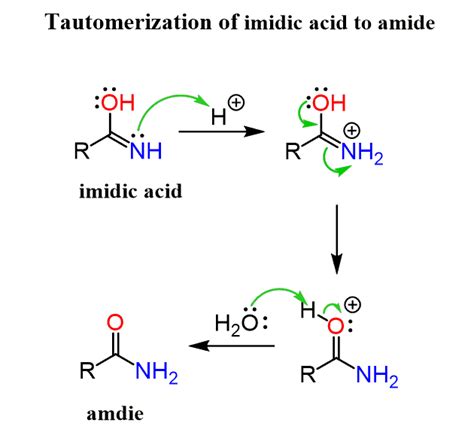 Acid Hydrolysis Mechanism