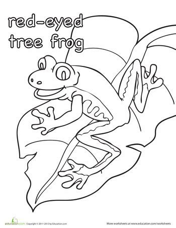 Color the Red-Eyed Tree Frog | Worksheet | Education.com | Red eyed tree frog, Frog coloring ...