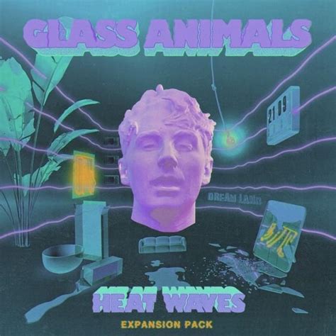 Glass Animals - Heat Waves (Expansion Pack) [Extended] Lyrics and Tracklist | Genius