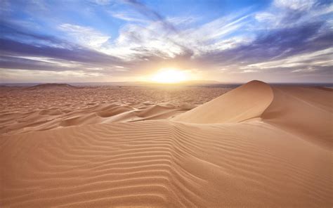 Desert Horizon Landscape | Maroc voyage, Fleurs du désert, Dune de sable