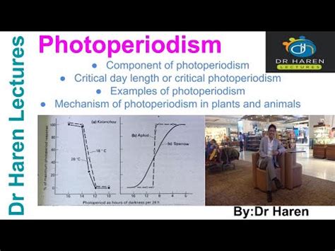 Photoperiodism in plant and animals - YouTube