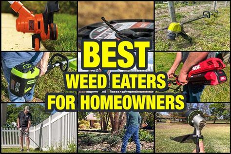 Milwaukee Weed Eater: The Ultimate Guide To Choosing The Best Trimmer ...