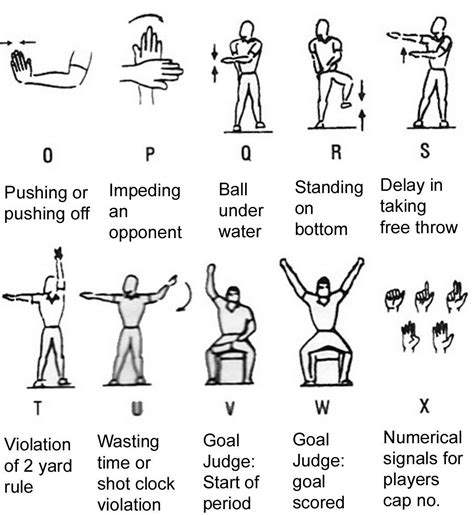 Umpire and referees hand signals in volleyball - virginisse