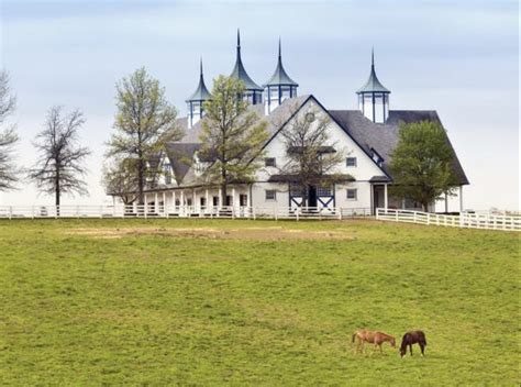 Lexington, Kentucky is home to over 400 horse farms and has become ...