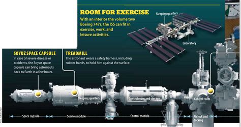 Science Article: How do astronauts keep healthy?