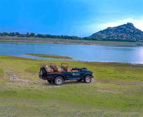 95+ most beautiful images in Jawai Dam, Rajasthan, India