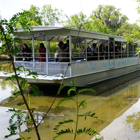 Swamp Tours by Tour Boat | Swamp tours, Tours new orleans, Boat tours