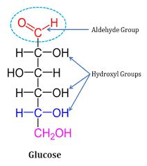 What Type of Isomers Are Glucose and Fructose