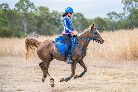 Arabian Endurance Horse of the Year – Arabian Horse Society of Australia