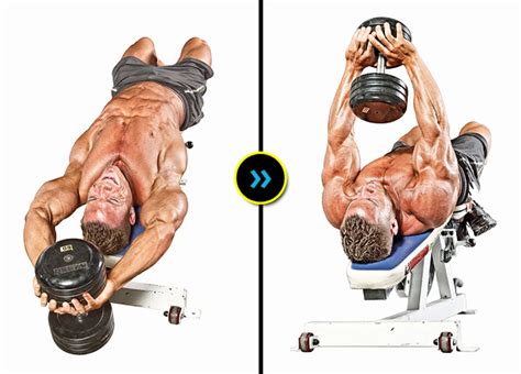 5 Back Training Myths You Probably Believe - How to Really Build a ...