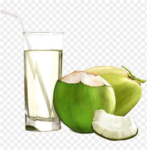 Coconut Water - Coconut Water Juice Glass PNG Transparent With Clear ...