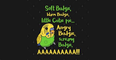 angry budgie, screamy budgie, AAAAAAAAAAAAAAA - Birb Memes - Sticker ...