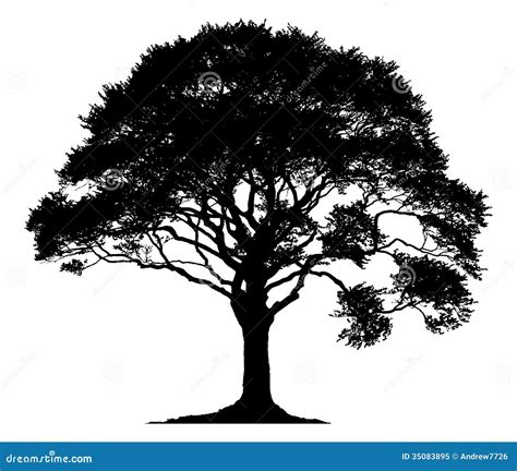 Silhouette of a lone tree stock illustration. Image of outline - 35083895