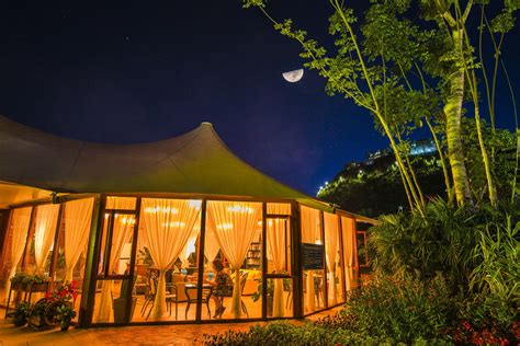 Luxury glamping Hotel in The Wild Resort in 2021 | Luxury camping tents, Safari tent, Luxury camping