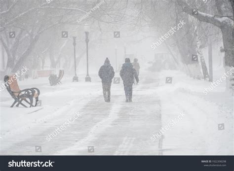 Frigid Zone Stock Photos - 205 Images | Shutterstock