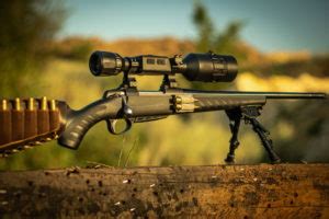 6 Best Night Vision Scopes for Coyote Hunting [2024 Reviews] - Optics Mag