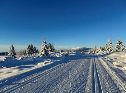 Cross-Country Skiing in Norway | Discover Norway