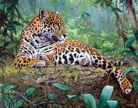 Gabriel Hermida. Pinturas. | Animal jaguar, Fotos de onça, Gatos selvagens