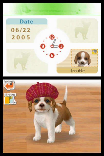 Nintendogs screenshots - MobyGames