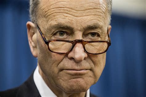 Senator Chuck Schumer: "We Say to Republicans Who Want to Privatize ...