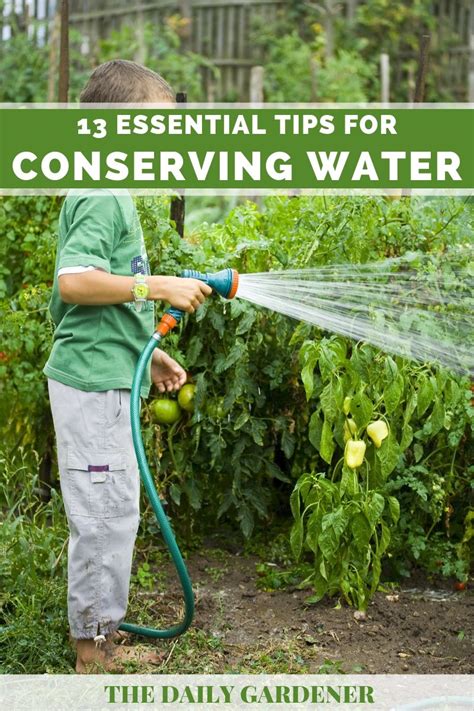 13 Essential Tips for Conserving Water In Your Garden - The Daily Gardener