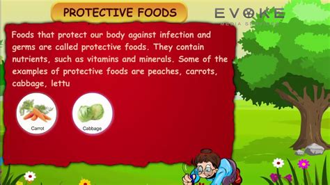 Protective Foods || Information - YouTube