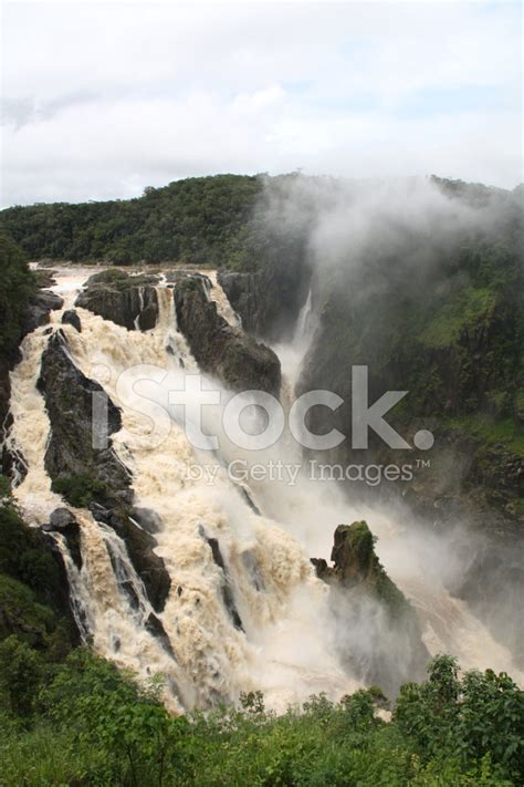 Daintree Rainforest Stock Photo | Royalty-Free | FreeImages