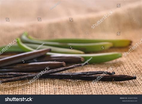 Vanilla Pods Various Stages Production Fresh Stock Photo 2220777919 ...