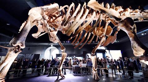 Titanosaur Skeleton 70 Million Years Old Found By Man Walking His Dog - Men's Journal