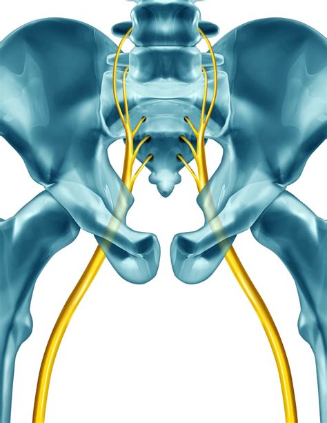 Superior Hypogastric Plexus Block for Abdominal Pain - FSAP Care