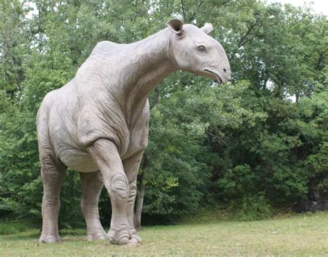 Indricotherium model at the Parco Natura Viva, Pastrengo, Veneto, Italy ...