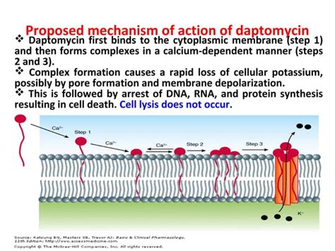 Antibacterials affecting cell membrane 03-05-2018